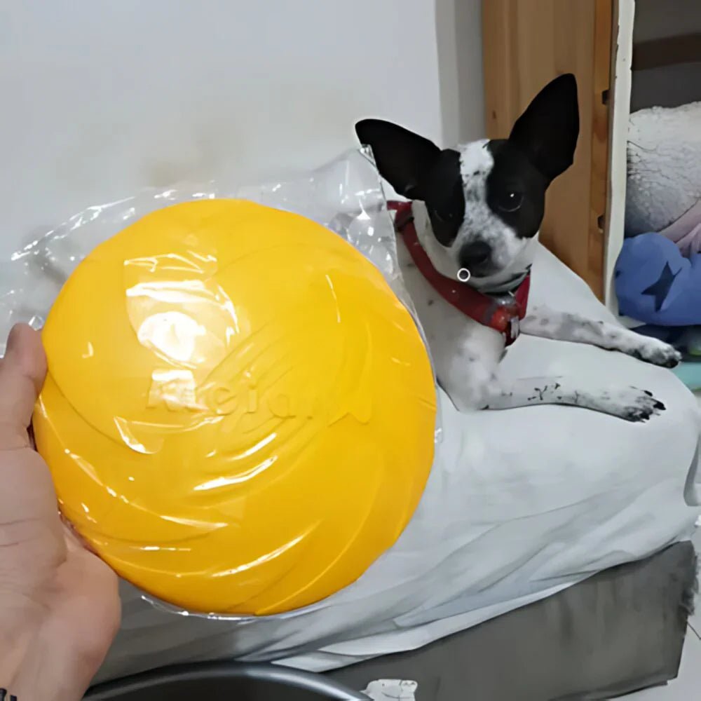 Disque pour chien - FlyDog™ - Jaune - Chien shop