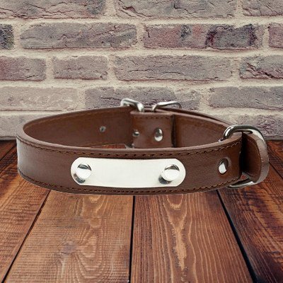 Collier pour chien - LeatherDogCollar™ - Marron - Chien shop