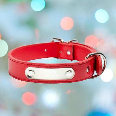 Collier pour chien - LeatherDogCollar™ - Rouge - Chien shop