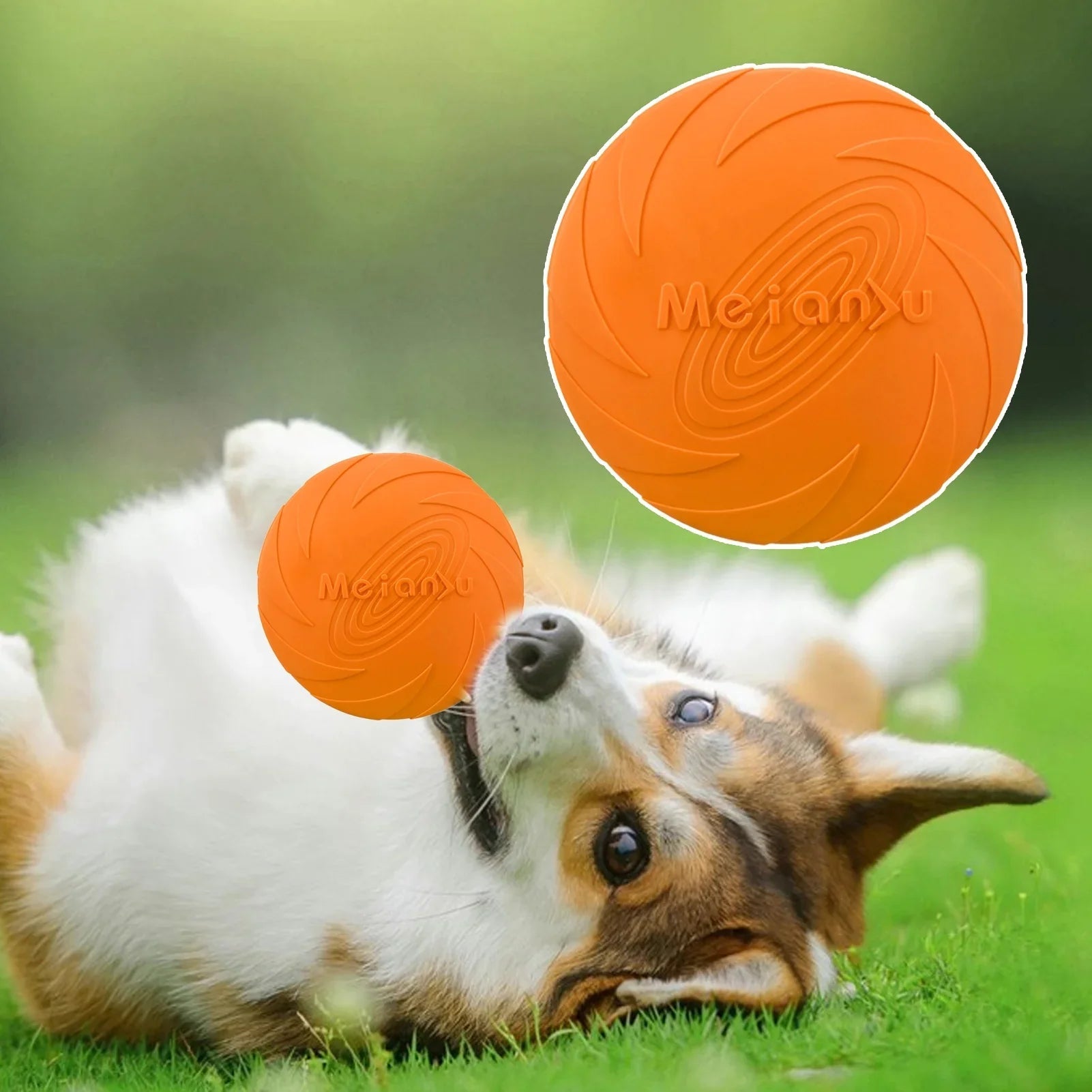 Disque pour chien - FlyDog™ - Orange - Chien shop