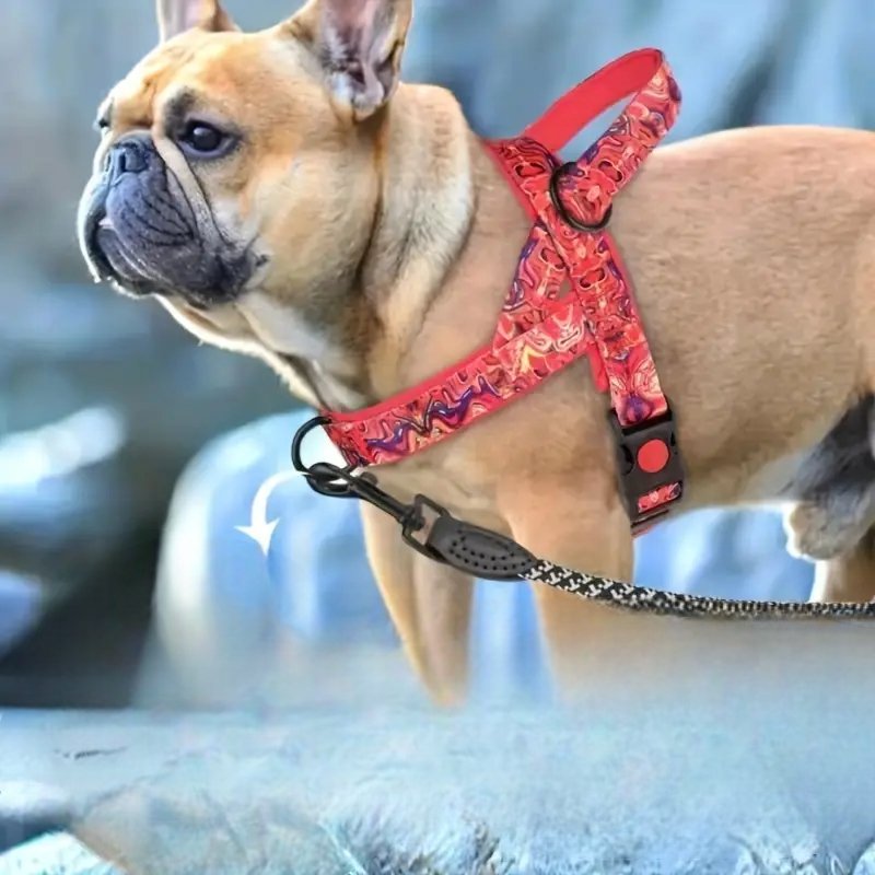 Gilet pour chien - DogSafeHarness™ - Rouge - Chien shop