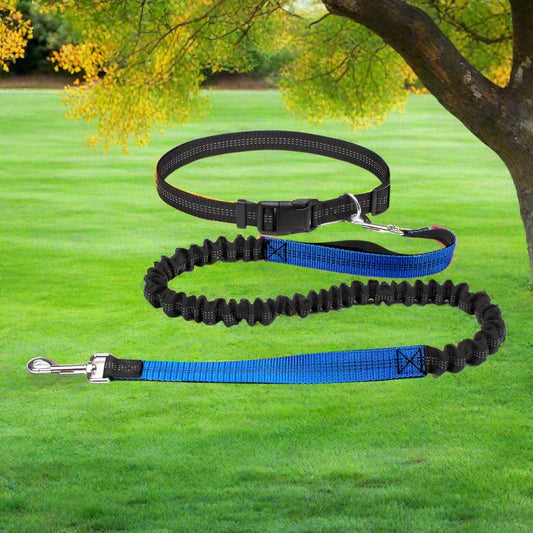 Laisse mains - libres - HandFreeDogLeash™ - Bleu - Chien shop