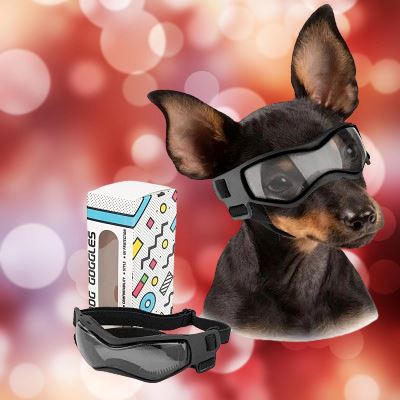 Lunettes pour chien - DogGoggles™ - Chien shop