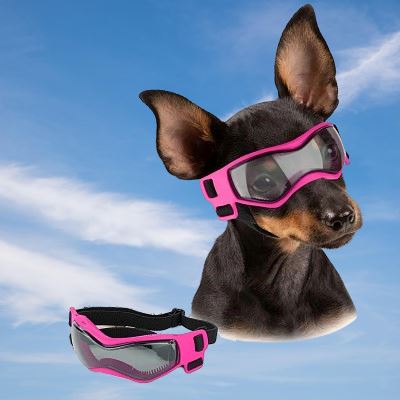 Lunettes pour chien - DogGoggles™ - Rose - Chien shop